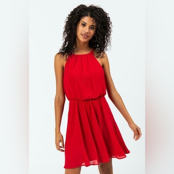 Blue Rain Dresses & Skirts - Francesca's Blue Rain Halter Red Dress Fit & Flare Mini Size 2XS Valentine’s Day